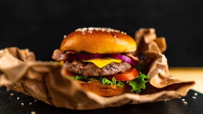 Skymaster Burger